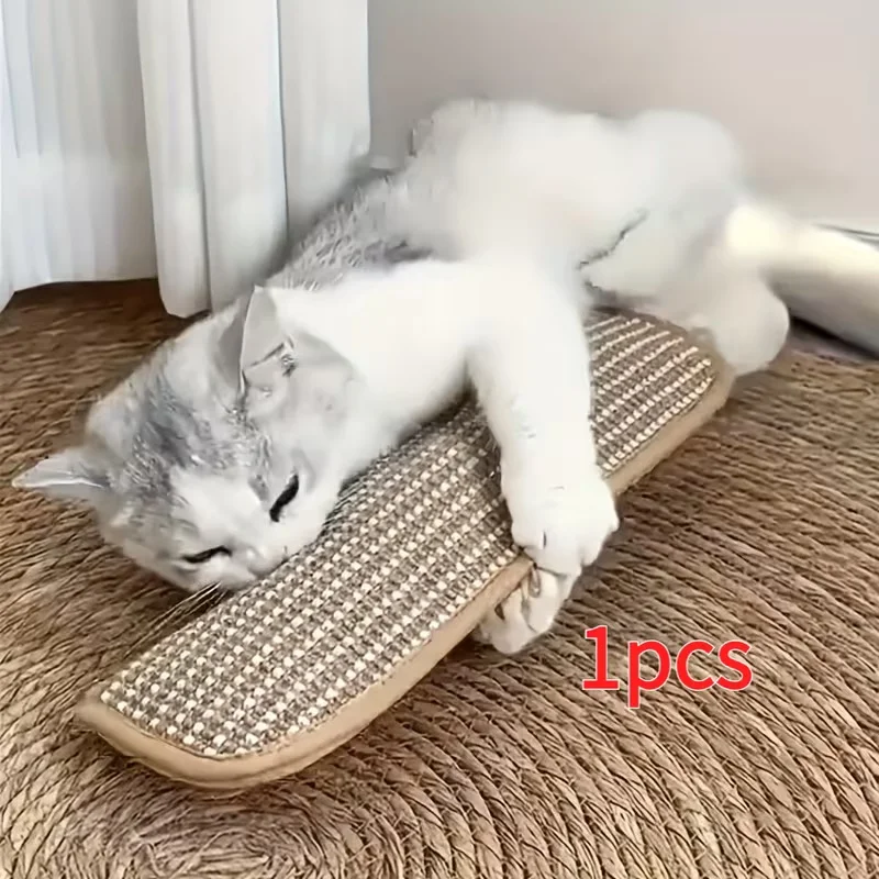 Cat Scratching Toy Pillow Pad 5