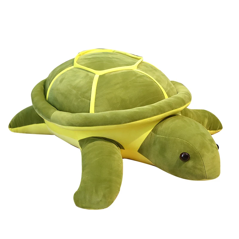 Tortoise