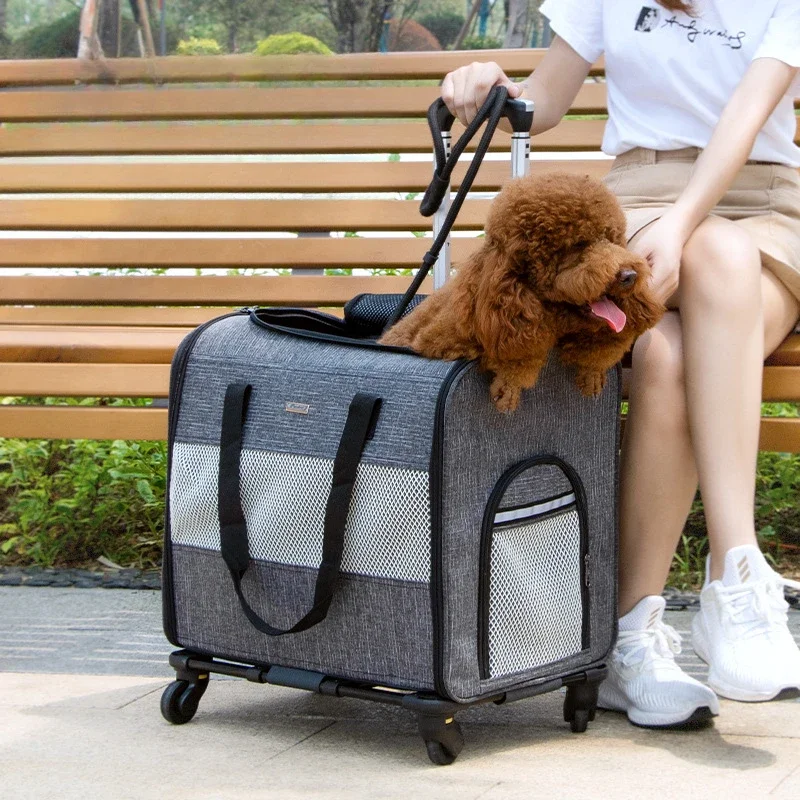 

Pet Trolley Case for Travel, Transport Bag, Durable Cat Cage for Travel Accessories, Carrying Equipment, Cat Holder Tools, Pet P