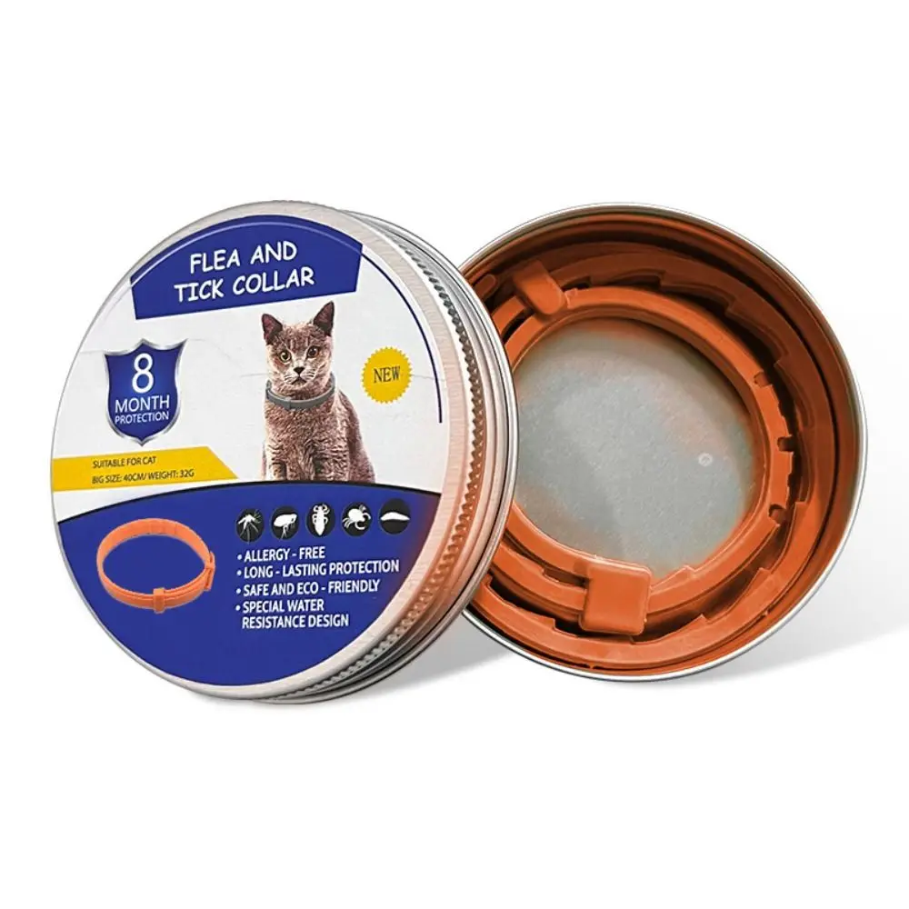 Cat Orange