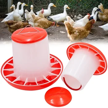 Automatic Hen Feeding Device 2