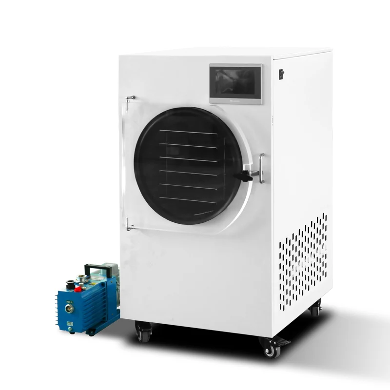 Vacuum Fruit Freeze Drying Dried Machines for Sale Mini Vegetables