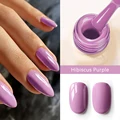 Hibiscus Purple