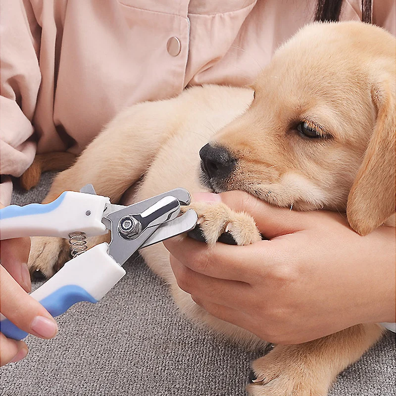 Pet Nail Clippers for Large Dog Nail Trimmer Stainless Steel Scissor Multifunctional Nail Cutter Cat Claw Care Grooming Supplies 3