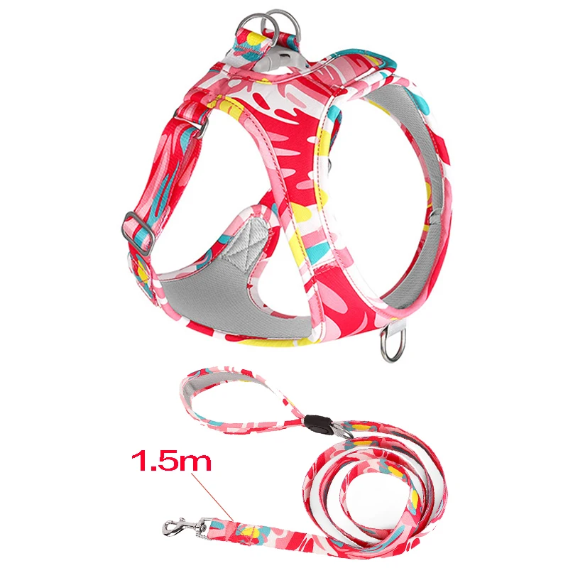 Adjustable Mesh Pet Harness with Leash for Small to Medium Dogs and Cats