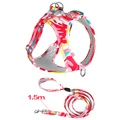 Red with 1.5m leash