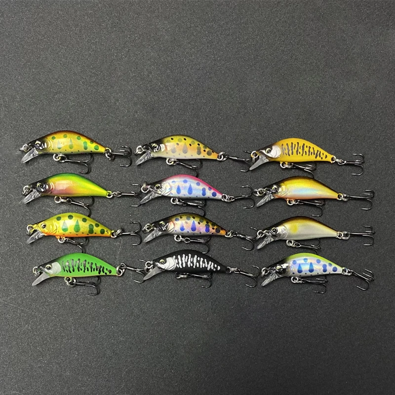 dsc-products