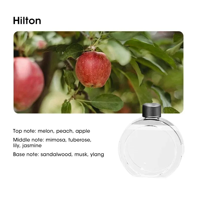 Hilton oil