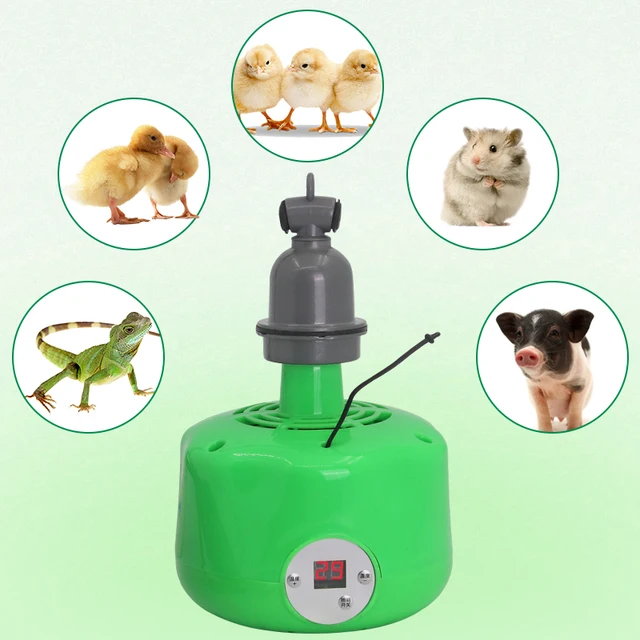 Lampe chauffante thermostatique pour animaux de compagnie, lampe à air chaud pour reptiles jetables, lumière chaude pour animaux de ferme, contrôleur de température, chauffage, 300W, nouveau 3