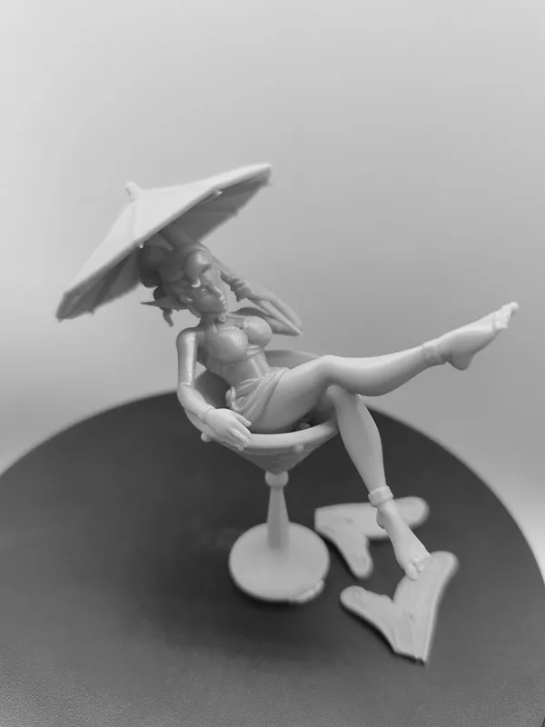 ƿ ĳ ̴ 1/24  ǱԾ 峭, ſ Ǹ    ŰƮ,   ̵ 