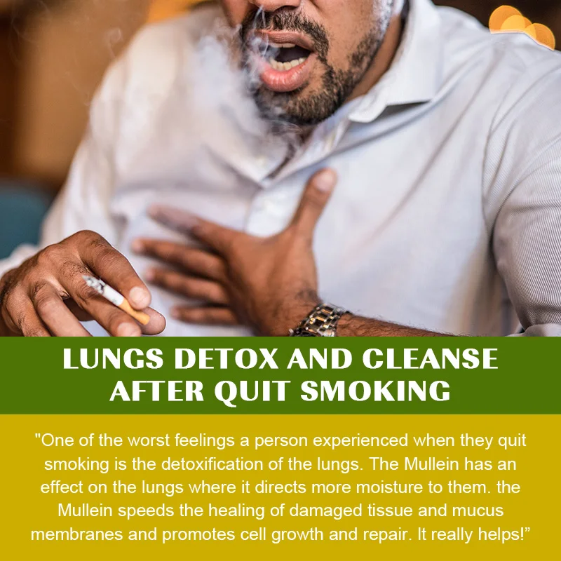 Herbal Plant Mullein Capsules Clean Lungs Protect Respiratory System Clear Heat Mucous Membranes Lung Cleanse mullein leaf extract lung detox capsules