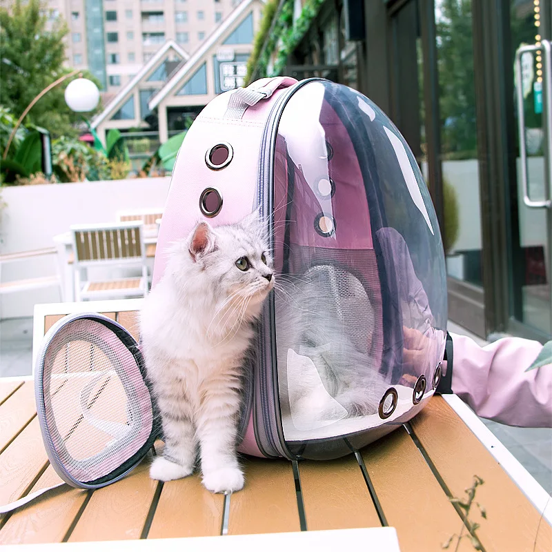 https://ae01.alicdn.com/kf/S1b78481f643948d08d0c1988ad0de249J/Cat-Carrier-Bag-Outdoor-Dog-Foldable-Eva-Pet-Visible-Pet-Carrier-Backpack-Transparent-Clear-Plastic-Portable.jpg_960x960.jpg