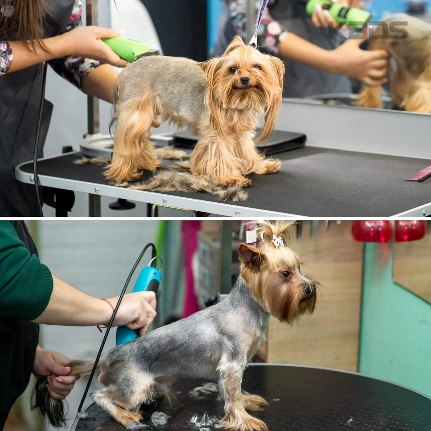4F,5F,7F,9#,10#,30#,40# Professional Pet Dog Cat Hair Trimmer Blade Fit For Most Andis，Oster A5，Wahl KM 10 Animal Clippers barber hair clipper blade pet grooming clipper