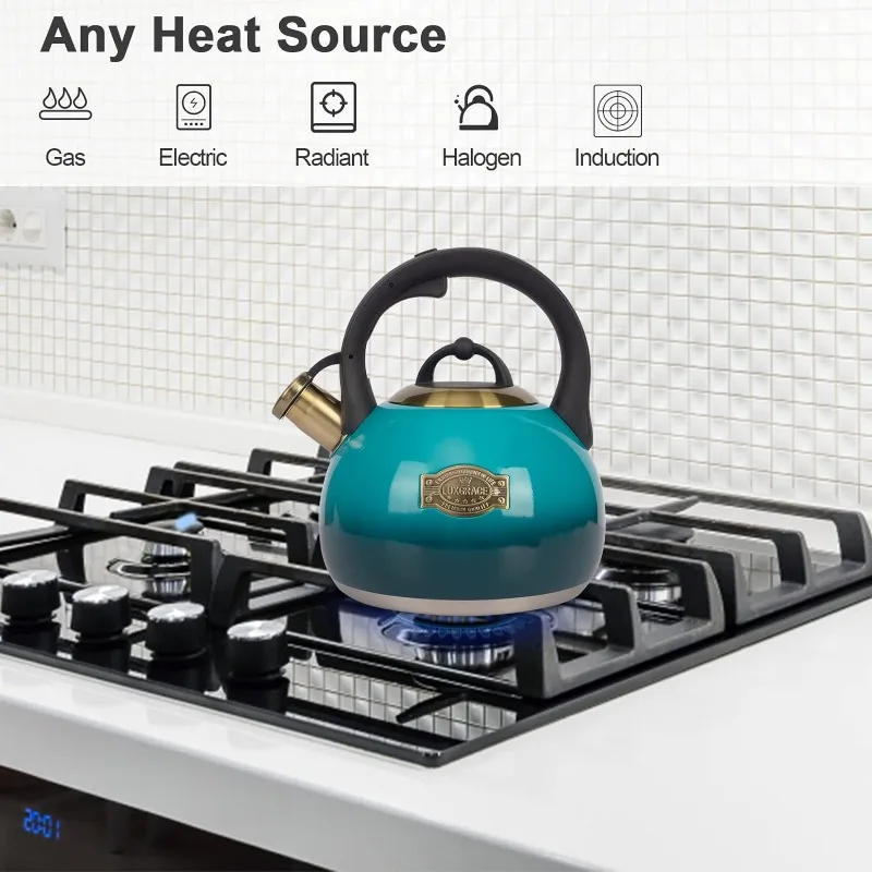Stainless Steel Stovetop Tea Kettle, Whistling Kettle, Teapot for Stove Top, Heat Proof, Ergonomic Handle, Food Grade