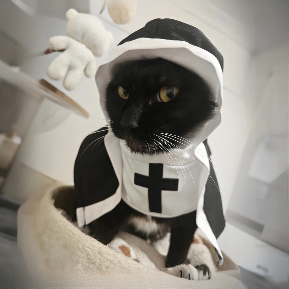 Fancy Dress Dress Up As A Cat For Halloween Cute Nun Cat Costume