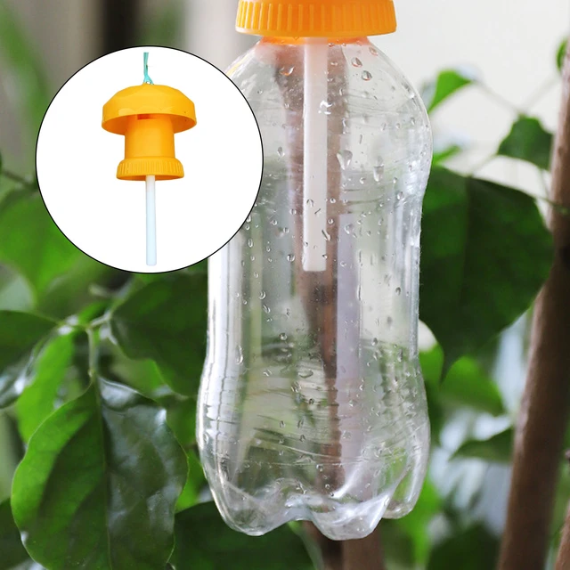 10Pcs Fruit Fly Trap Mosquito Trap Garden Supplies Liquid Fruit Fly Killer  Drosophila Attractant Catcher Pest Insect Home Farm - AliExpress