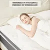 Queen Mattress, 12 Inch Hybrid Mattress - Pocketed Coils - Targeted Pressure Relief, Advanced Motion Isolation, Mattresses 3