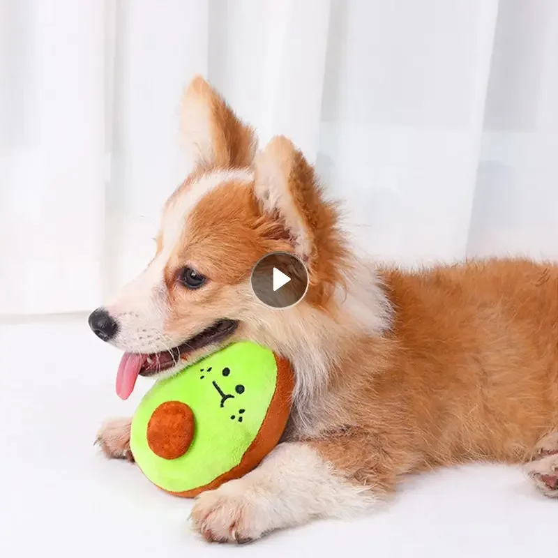 

Fruit Pet Toy Sounding Plush Chew Toy For Dogs Puppy Squeaker Squeaky Plush Bone Molar Dog Toy Pet Training Dog Accessories