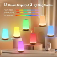 13 Color Changing Night Light RGB Remote Control Touch Dimmable Lamp Portable Table Bedside Lamps USB Rechargeable Night Lamp 4