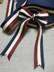 Multicolor Webbing Strap - 3m Decorative Ribbon for Crafting and Gift Wrapping (Width 1cm)