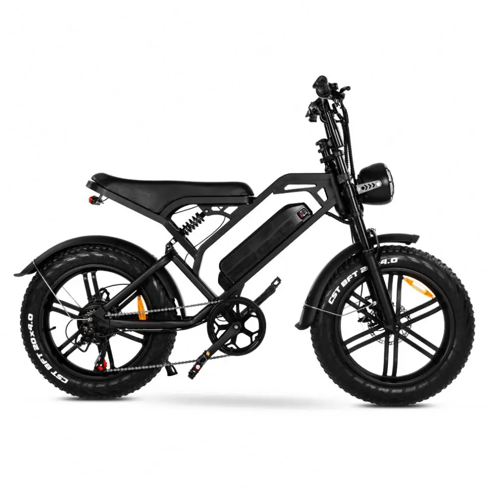 Buy Fasticycle Mountain Fatbike Fat Tire Ebike Eu Cheap 20inch Steel Lithium Battery LCD Displaycustom