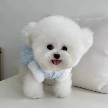 강아지용 가죽 끈이 달린 강아지 코트 드레스, 우아한 겨울 옷, 따뜻한 공주, 럭셔리 디자이너 소녀, 애완 동물 액세서리