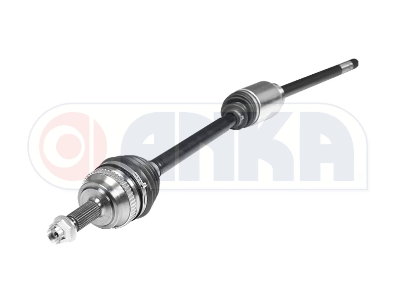 

TEN ACS SAG MASTER II для 10102007 2DCI / 2.5DCI ABSLI 01 10