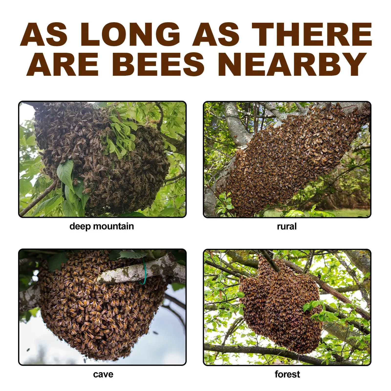 60ML Bee Bait Bee Swarm Commander Lure Bait Cage Trap Kit Beekeeper Tools Beekeeping Swarm Lure Attractant