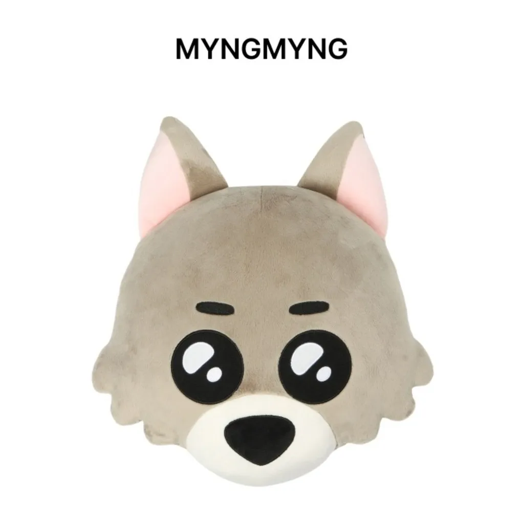30cm Kpop Idol BOYNEXTDOOR BBNEXDO Face Cushion 6