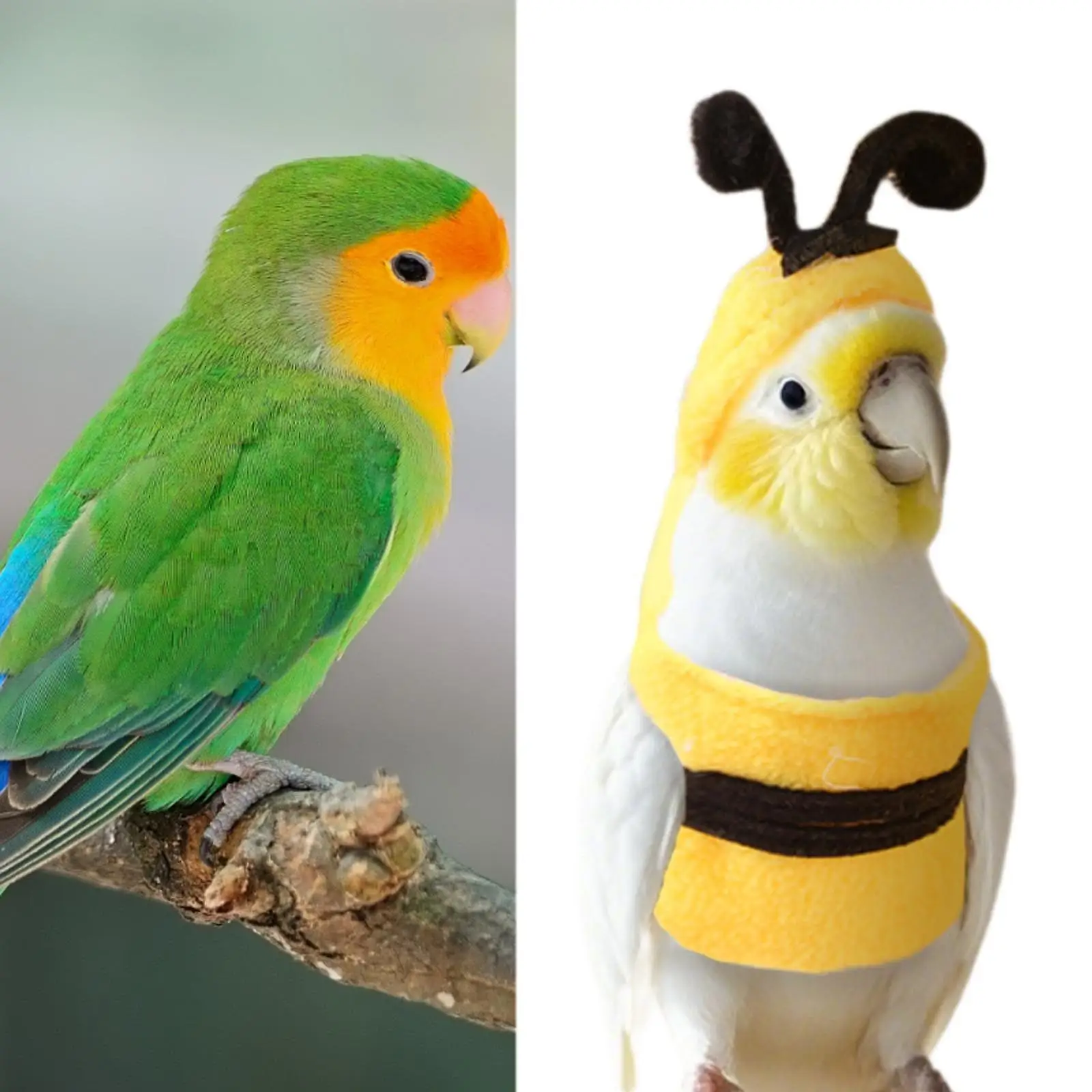Pet Bird Clothes Bee Shaped Bird Costume for Birthday Parakeet African Greys Pet Bird Clothes Bee Shaped Bird Costume for Birthday Parakeet African Greys