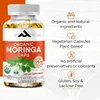 Organic Moringa Capsules | 60 Capsules | Non GMO, Vegetarian Superfood, Immune Support and Nutrient Absorption