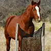 2Pcs Slow Feed Hay Nets for Horses, 31.4" * 35.4" Horse Feed Bag with Large Capacity and Small Opening for Horse Goat Feeder Full Day