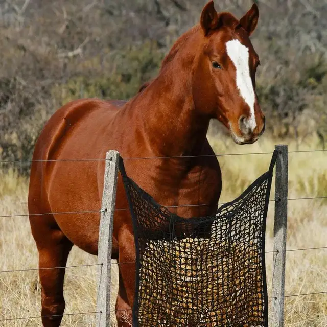 2Pcs Slow Feed Hay Nets for Horses, 31.4" * 35.4" Horse Feed Bag with Large Capacity and Small Opening for Horse Goat Feeder Full Day