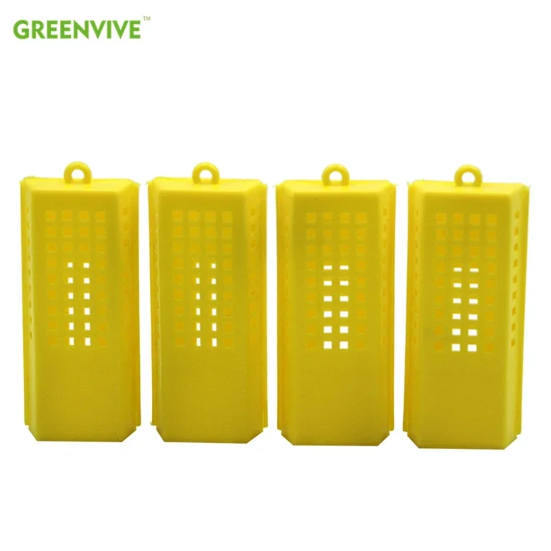 Beekeeping Transport Cages Bees Queen Post Room Cage Plastic King Prisoner Queen Bee Isolation Cage 15 Pcs Apiculture Tools