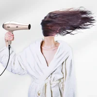 3200W Dryer High Quality Professional Hair Dryer High Power Negative Ion Quick Dryer Hot/cold Air With Air Collecting Nozzle 40D 2
