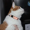 Cat Collar Personalized Nylon Dog Collar Night Safety Adjustable Reflective Dog Leash Pet Necklace For Puppy And Cat Accessories 3