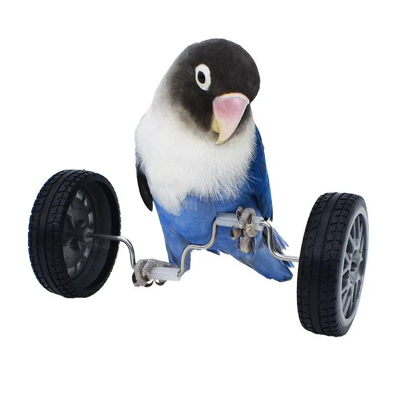 Parrot Balance Birds Intelligence Training Interactive Toy Mini Bicycle Wheels Roller for Small Medium Birds Pet Supplies Toys parrot toy bird toy