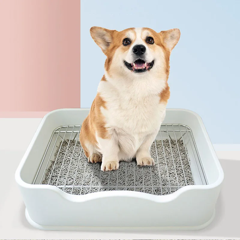 Can You Train A Dog To Poop In A Litter Box