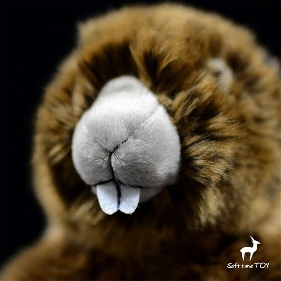 Peluche Marmotte Haute Fidélité, Jouets en Peluche Bobac, Simulation  d'Animaux Réalistes, Jouet Kawai en Peluche, Cadeaux pour Enfants -  AliExpress