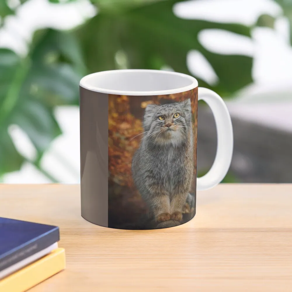 

Pallas's Cat / Manul Coffee Mug Original Breakfast Cups Breakfast Personalized Gifts Thermal Cups For Mug