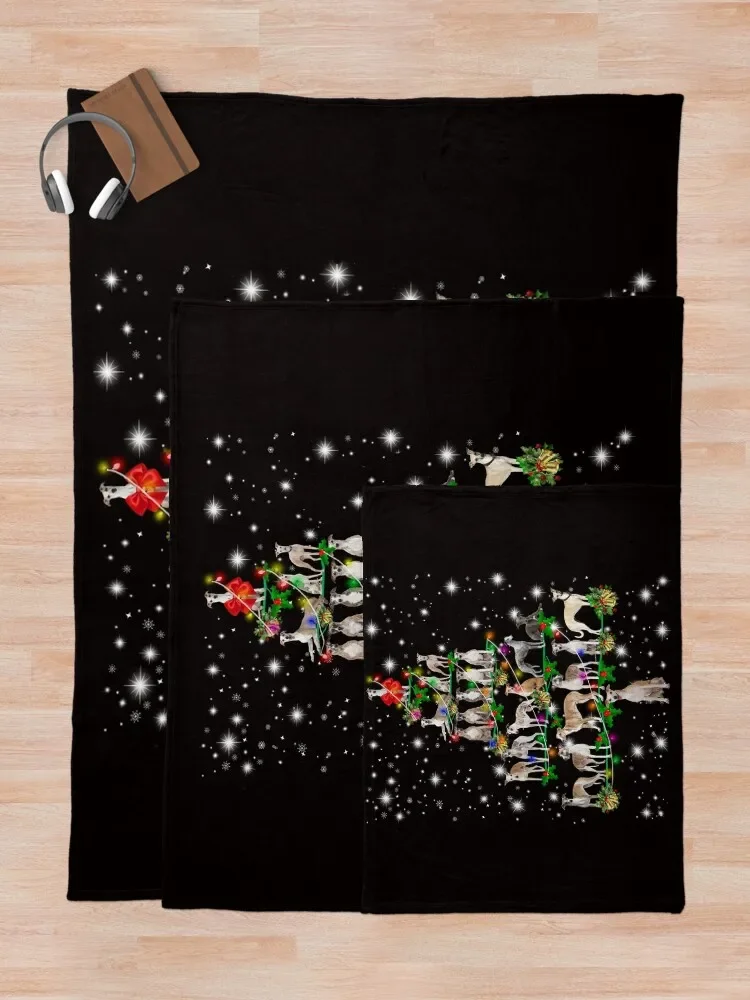 ����ִ� ũ�������� ä�� �� ���� ���� ������ ���, ķ�� ��� ��Ʈ�� ���� ���