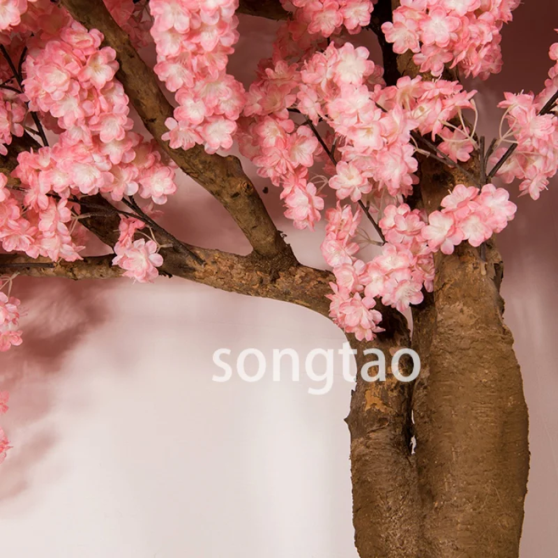 Рисунок 5 - Под заказ. songtao