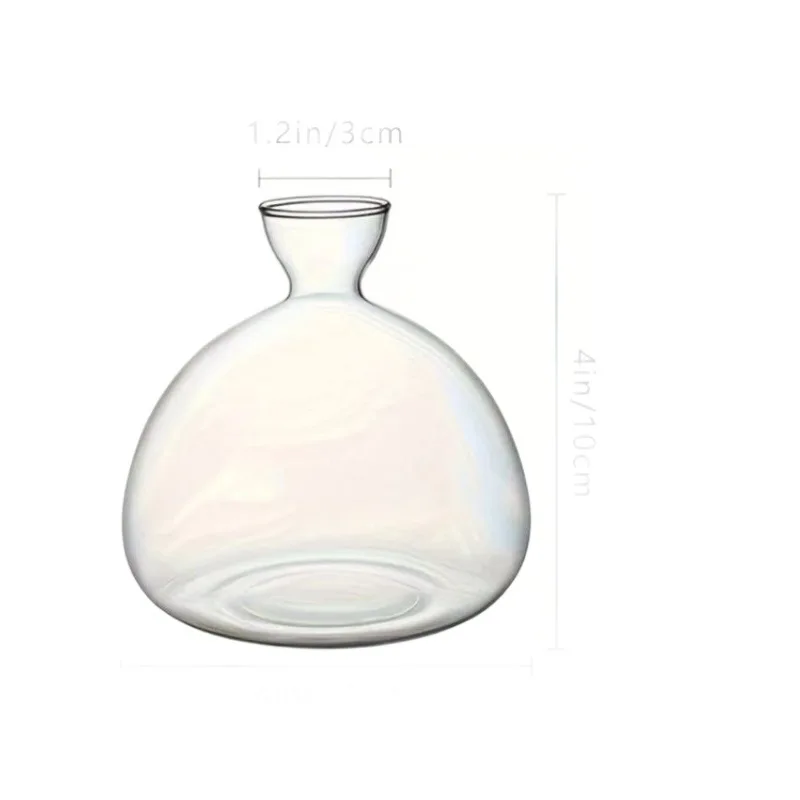 زجاجة زراعة شتلات الأفوكادو مزهرية زجاجية شفافة مج...