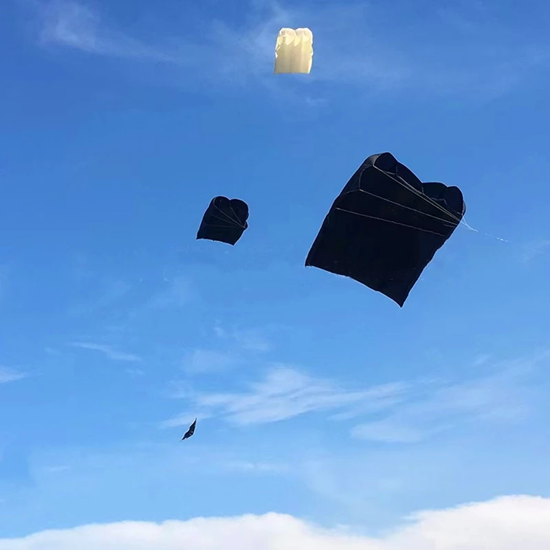 free shipping 36sqm large pilot kite flying inflatable kite parachute kite pendant professional kites and rays octopus kites koi 6