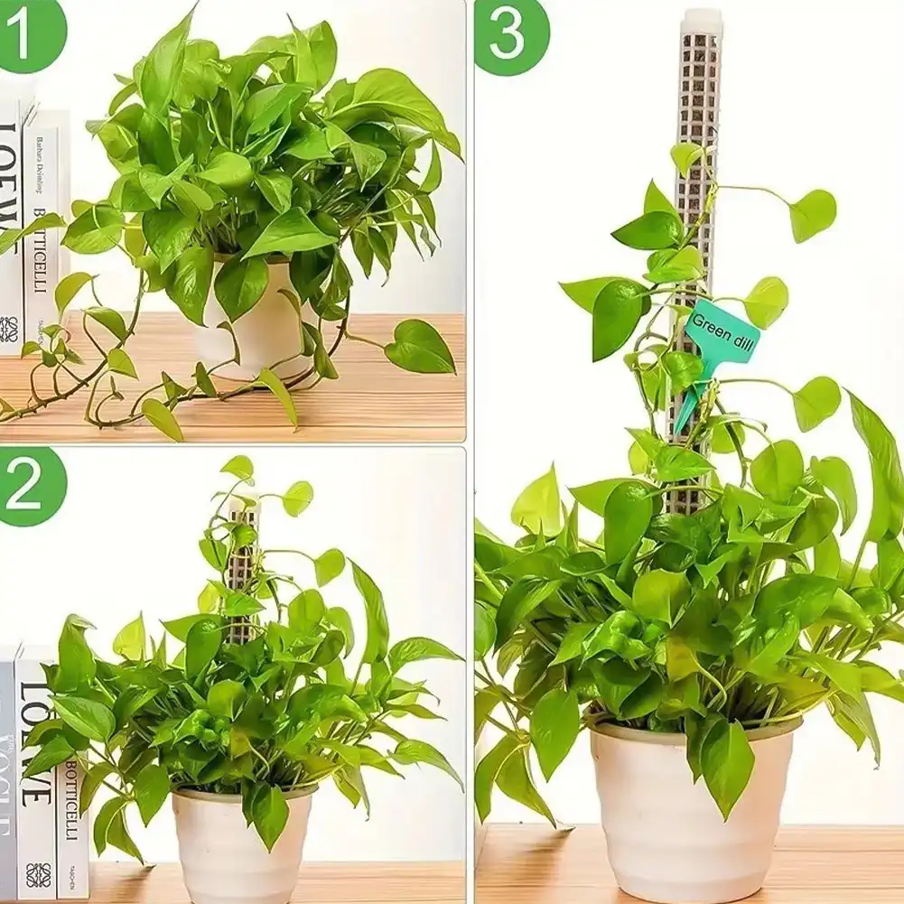 Plant Moss Poles Support Plastic Transparent Reusable Indoor Potted Sticks Train Creeper Plant To Grow Upward for Home Garden
