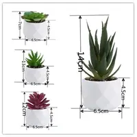 Artificial Succulent Bonsai Plants Simulation Succulents Mini Evergreen Bonsai Cactus Succulent Plastic Fake Plants Decor 6