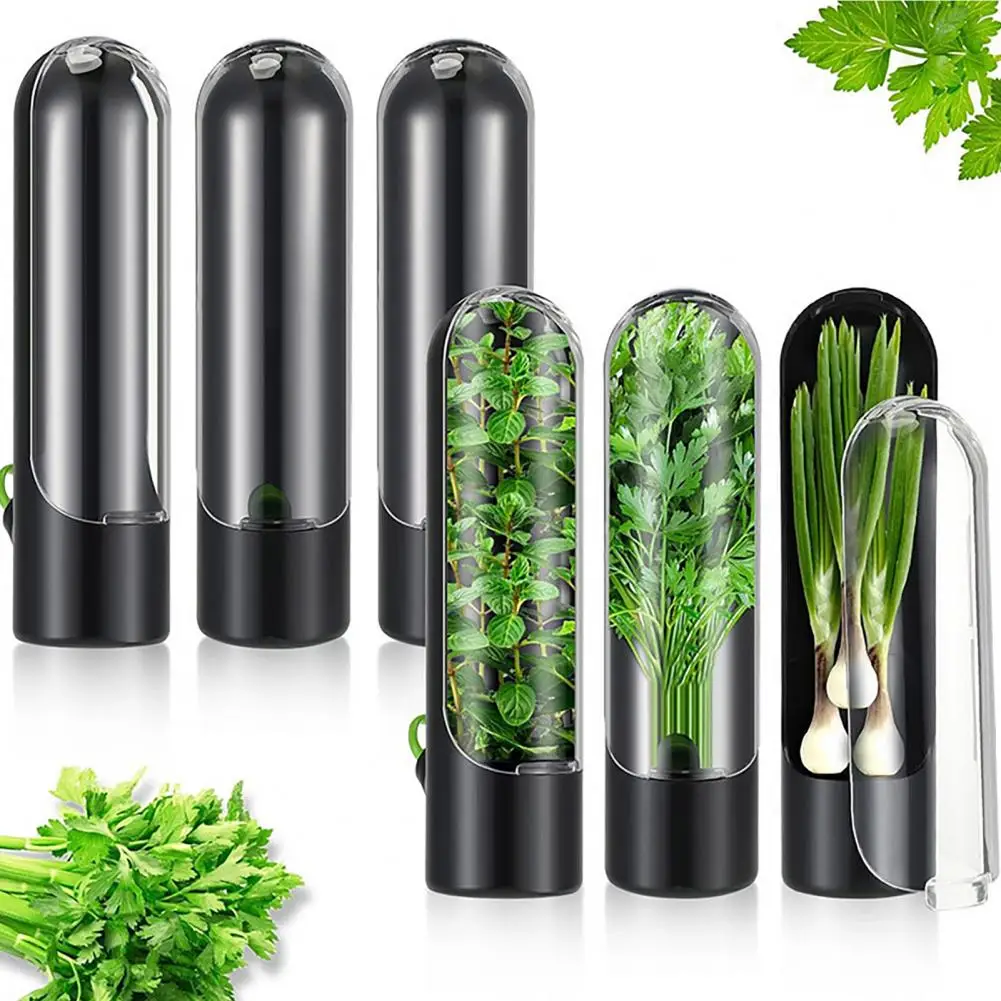 Herb Saver for Refrigerator Herb Storage Container Refrigerator Saver for Vegetable Preservation Cilantro Thyme Parsley