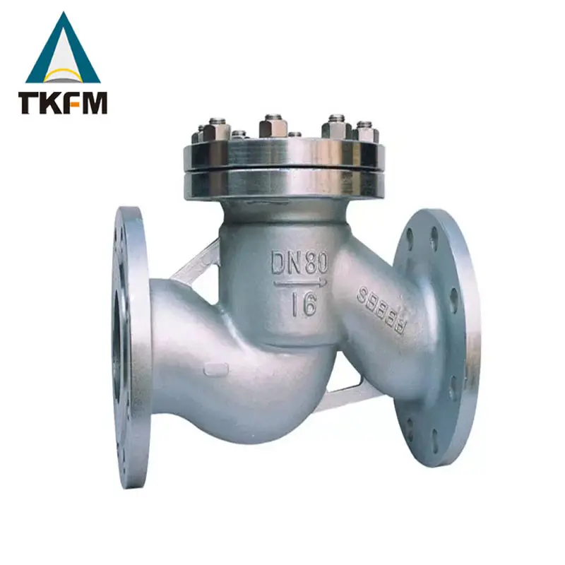 

TKFM rubber tilt carbon steel globe check valve adjustable DN80 PN16
