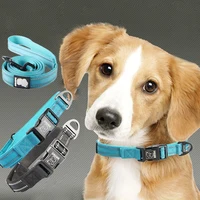 Reflective Padded Nylon Dog Collar & Leash