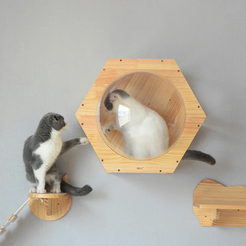 벽걸이 나무 고양이 집 침대, 고양이 나무 타워 스페이스 캡슐, 고양이 등반 프레임, 새끼 고양이 장난감, 등반 사다리, 애완 동물 스크래치 가구